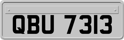 QBU7313