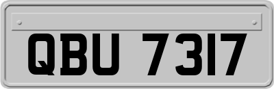 QBU7317