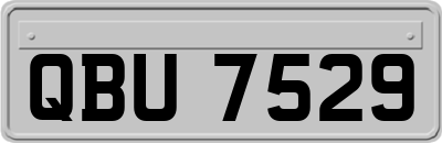 QBU7529