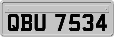 QBU7534
