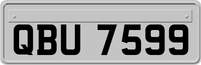 QBU7599