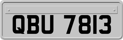 QBU7813