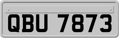 QBU7873