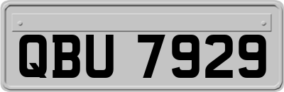 QBU7929