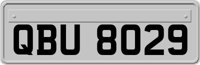 QBU8029