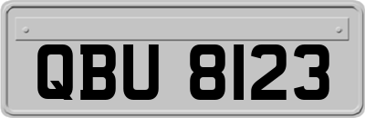 QBU8123