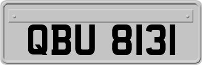 QBU8131