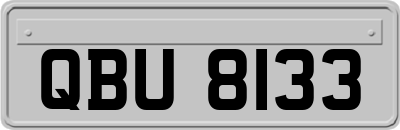 QBU8133