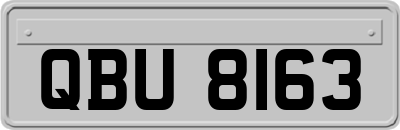 QBU8163