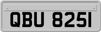 QBU8251