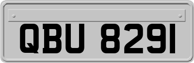 QBU8291