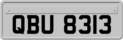 QBU8313