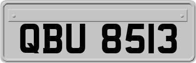 QBU8513