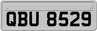QBU8529