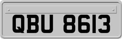 QBU8613