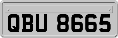 QBU8665