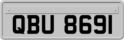 QBU8691