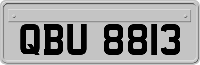 QBU8813