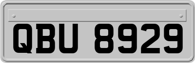 QBU8929