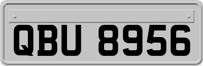 QBU8956