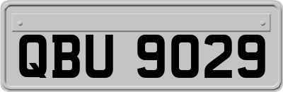 QBU9029