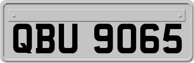 QBU9065