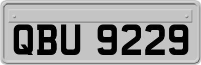 QBU9229