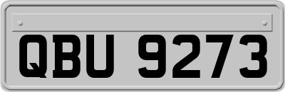 QBU9273