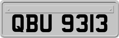 QBU9313