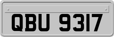 QBU9317