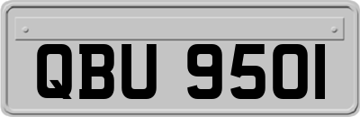 QBU9501