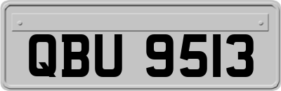 QBU9513