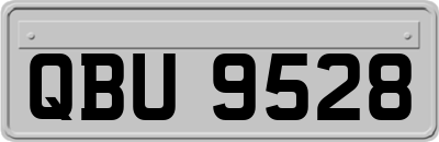 QBU9528