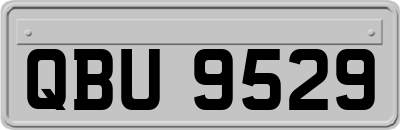 QBU9529