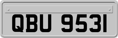 QBU9531