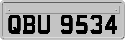 QBU9534