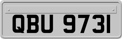 QBU9731