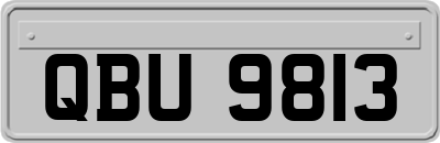 QBU9813