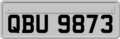 QBU9873