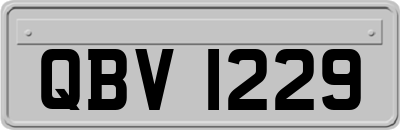 QBV1229