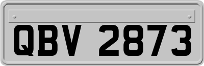 QBV2873