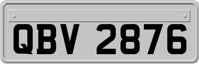 QBV2876