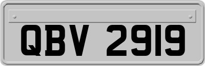 QBV2919