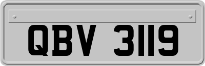 QBV3119
