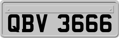 QBV3666