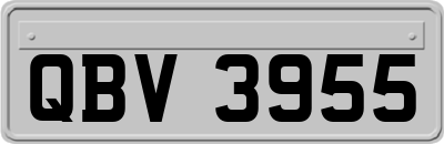 QBV3955