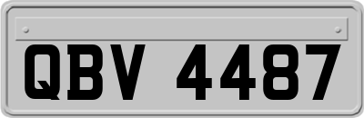 QBV4487