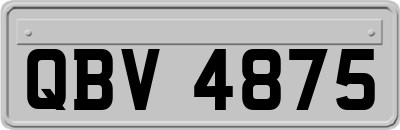 QBV4875