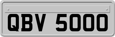 QBV5000