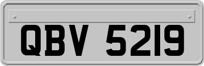 QBV5219